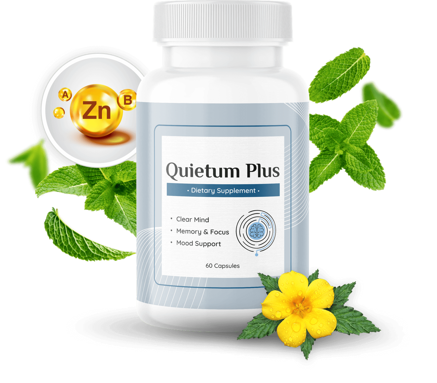 QuietumPlus Ear-Brain Communication Supplement