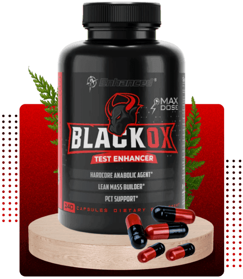BlackOx Male Performance Testosterone Supplement 2026 Review