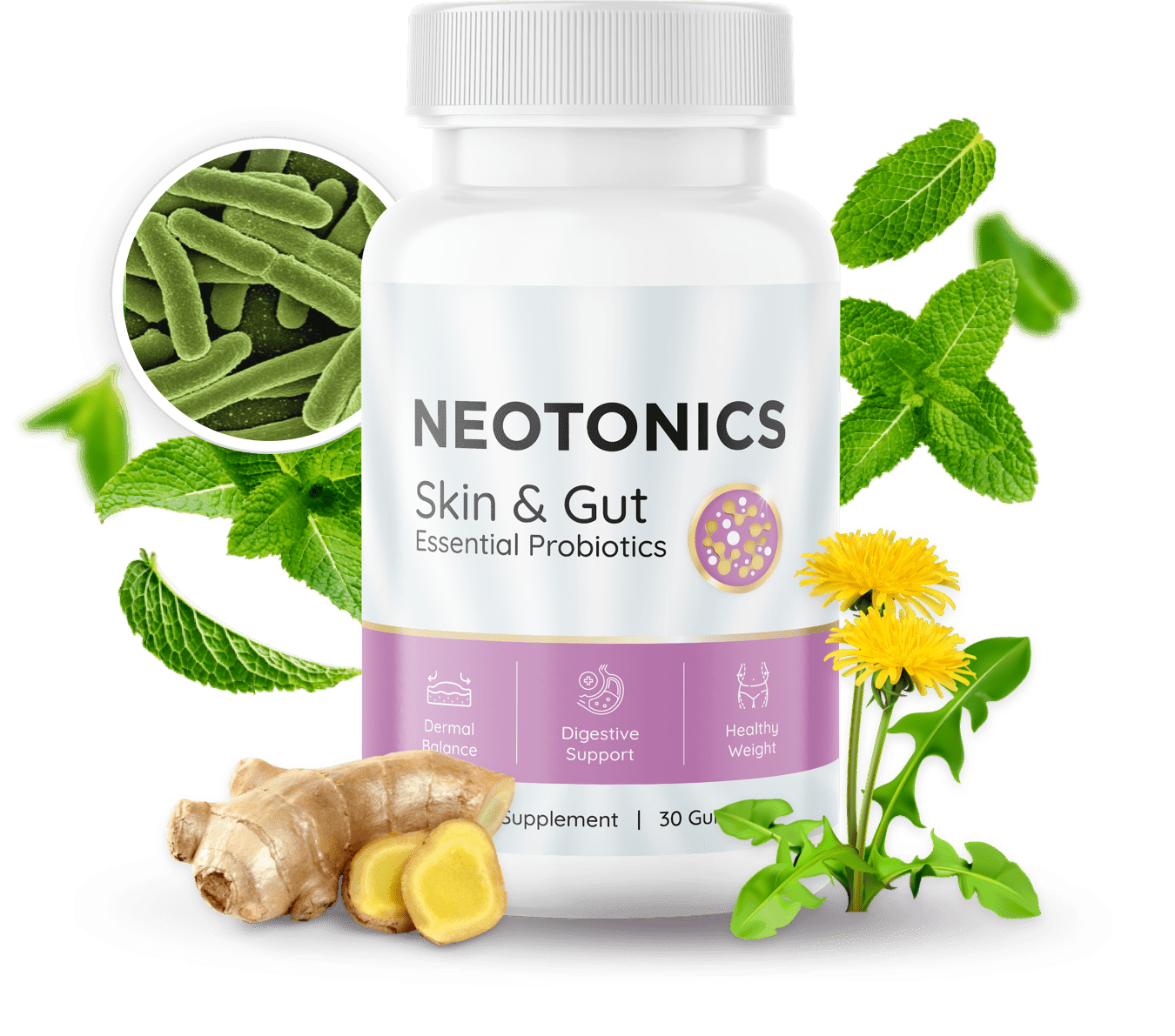 Neotonics Gut Skin Health Supplement 2026 Review